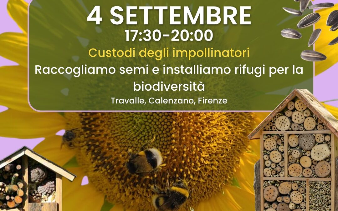 Custodi degli impollinatori: raccolta semi e rifugi per la biodiversità a Travalle, 4 settembre
