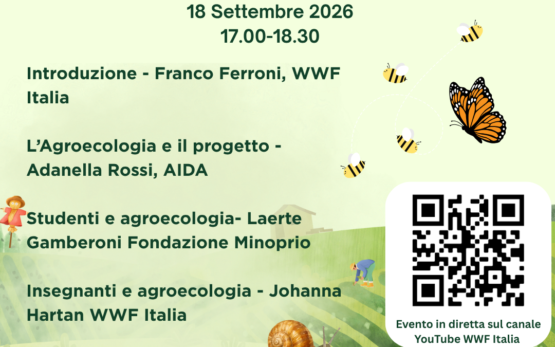 Agro4KIS: webinar “Agroecologia nella scuola”, 18 settembre 2026