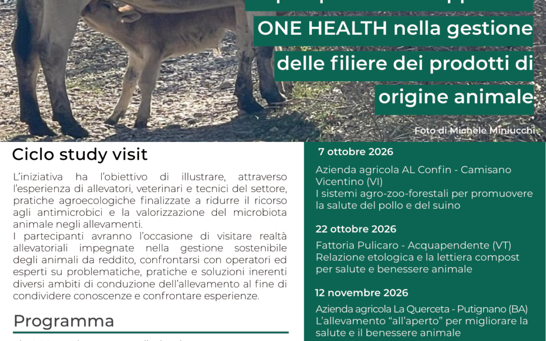 Allevamento agroecologico e One Health: il 7 ottobre study visit e focus group PascoLove a Camisano Vicentino