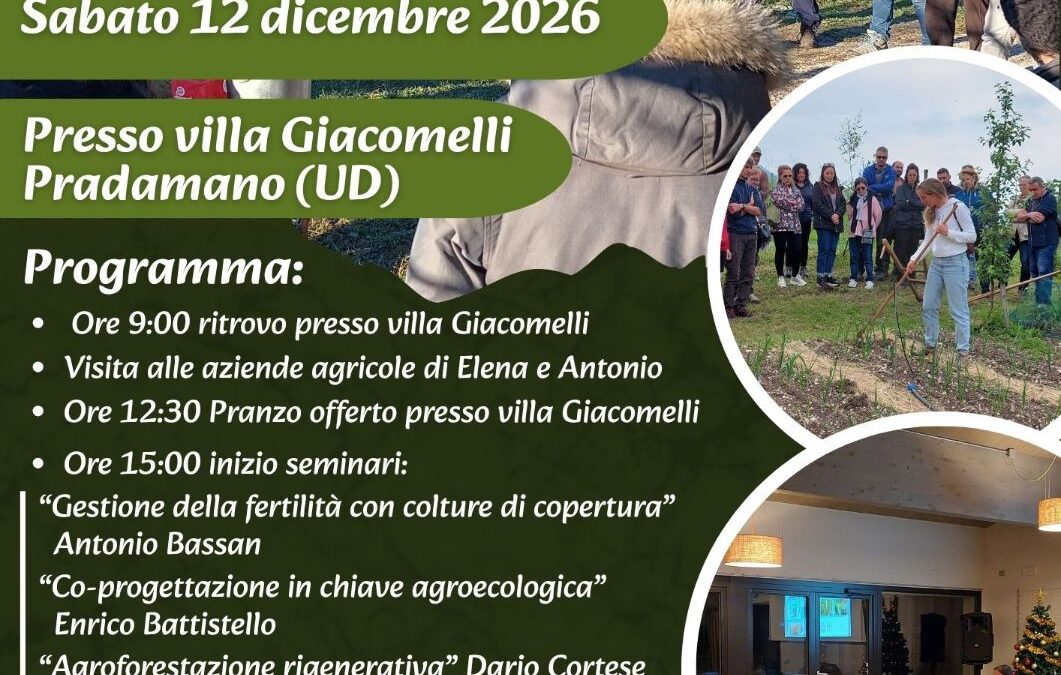 Rizofest vol. 4: il 12 dicembre a Pradamano con il collettivo Rizosfera
